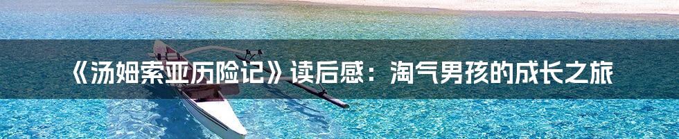 《汤姆索亚历险记》读后感：淘气男孩的成长之旅