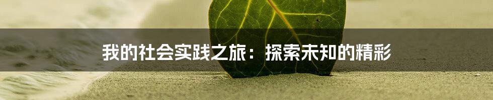 我的社会实践之旅：探索未知的精彩