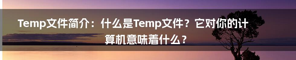 Temp文件简介：什么是Temp文件？它对你的计算机意味着什么？