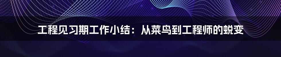 工程见习期工作小结：从菜鸟到工程师的蜕变