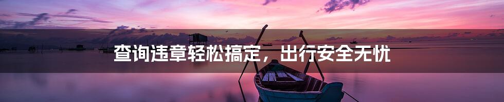 查询违章轻松搞定，出行安全无忧