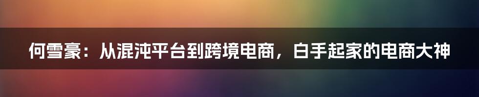 何雪豪：从混沌平台到跨境电商，白手起家的电商大神