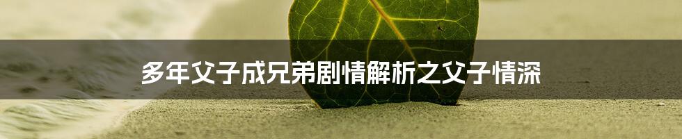 多年父子成兄弟剧情解析之父子情深