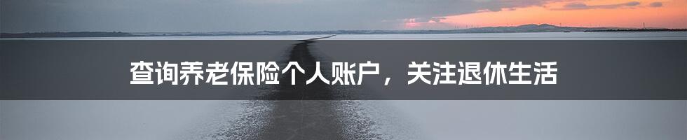 查询养老保险个人账户，关注退休生活