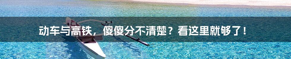 动车与高铁，傻傻分不清楚？看这里就够了！