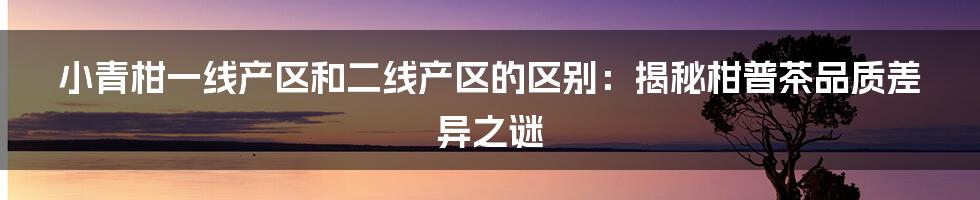 小青柑一线产区和二线产区的区别：揭秘柑普茶品质差异之谜