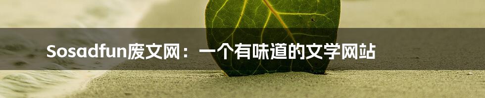 Sosadfun废文网：一个有味道的文学网站