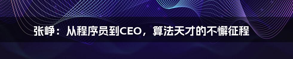 张峥：从程序员到CEO，算法天才的不懈征程