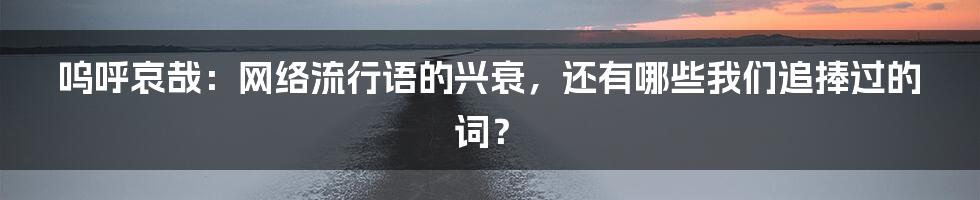 呜呼哀哉：网络流行语的兴衰，还有哪些我们追捧过的词？