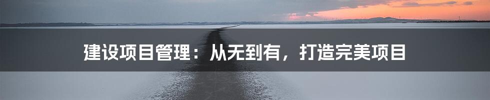 建设项目管理：从无到有，打造完美项目