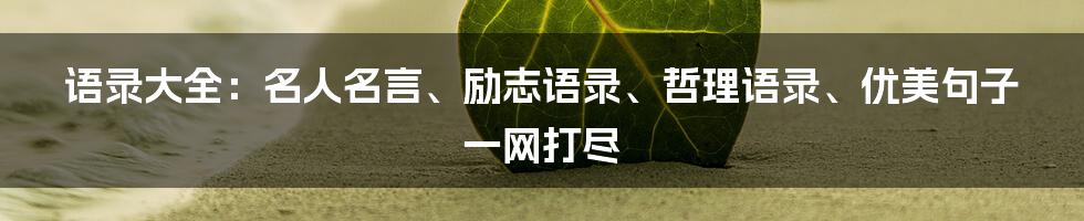 语录大全：名人名言、励志语录、哲理语录、优美句子一网打尽