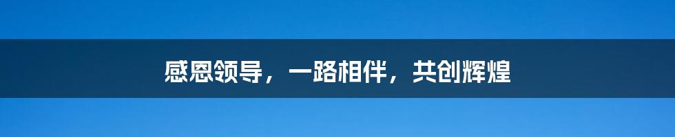 感恩领导，一路相伴，共创辉煌