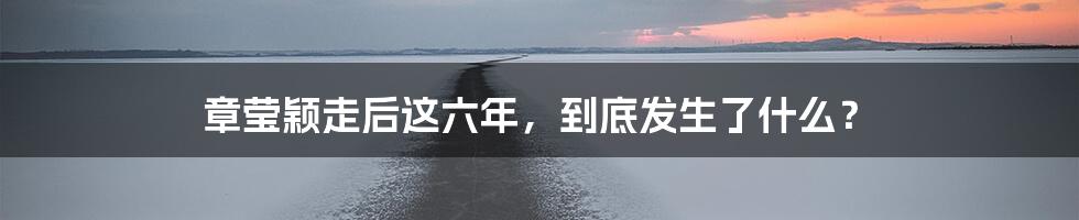 章莹颖走后这六年，到底发生了什么？