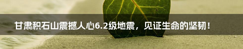 甘肃积石山震撼人心6.2级地震，见证生命的坚韧！