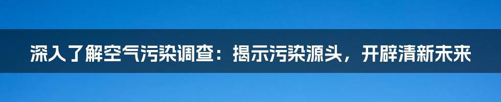 深入了解空气污染调查：揭示污染源头，开辟清新未来