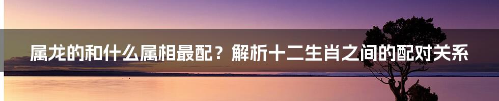 属龙的和什么属相最配？解析十二生肖之间的配对关系