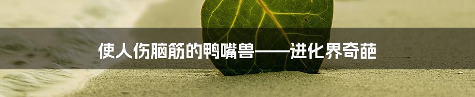 使人伤脑筋的鸭嘴兽——进化界奇葩