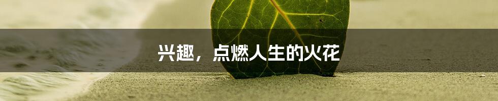 兴趣，点燃人生的火花