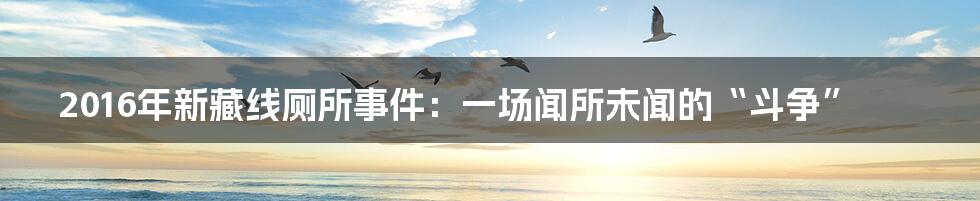 2016年新藏线厕所事件：一场闻所未闻的“斗争”