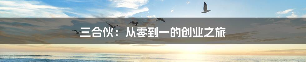 三合伙：从零到一的创业之旅