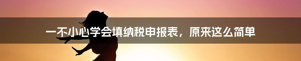 一不小心学会填纳税申报表，原来这么简单