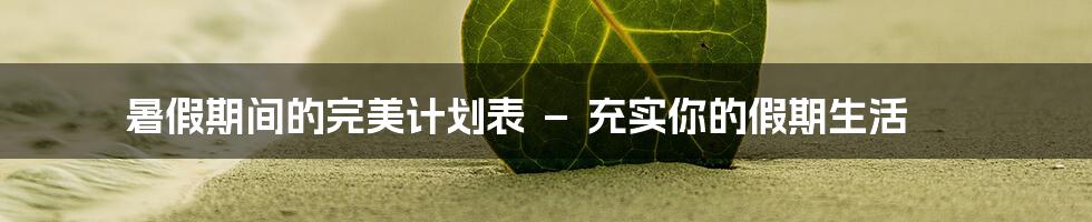 暑假期间的完美计划表 － 充实你的假期生活