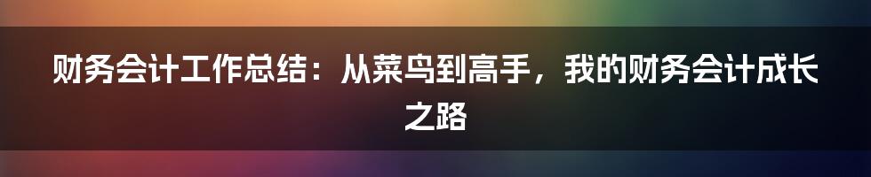 财务会计工作总结：从菜鸟到高手，我的财务会计成长之路