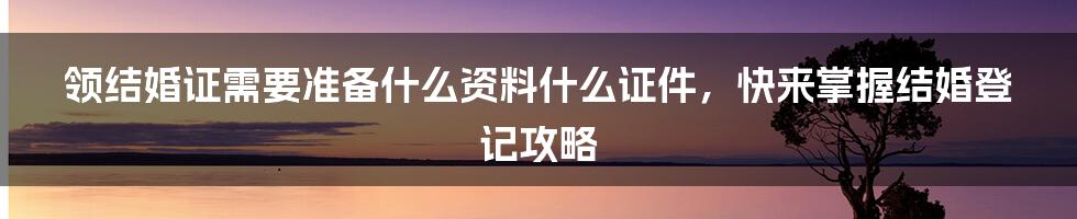 领结婚证需要准备什么资料什么证件，快来掌握结婚登记攻略