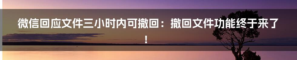 微信回应文件三小时内可撤回：撤回文件功能终于来了！