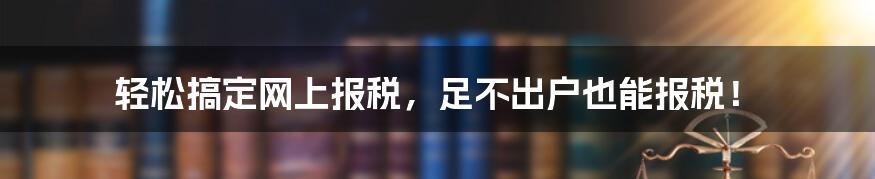 轻松搞定网上报税，足不出户也能报税！