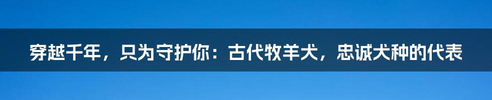 穿越千年，只为守护你：古代牧羊犬，忠诚犬种的代表