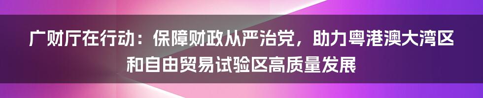 广财厅在行动：保障财政从严治党，助力粤港澳大湾区和自由贸易试验区高质量发展