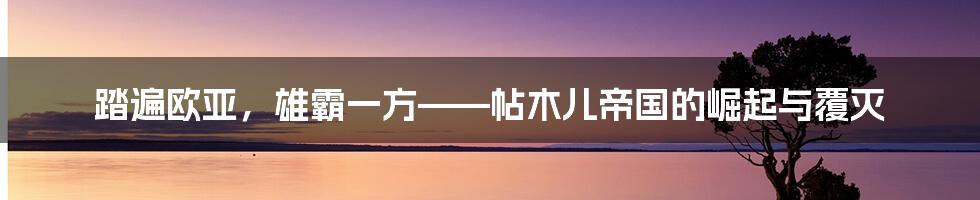 踏遍欧亚，雄霸一方——帖木儿帝国的崛起与覆灭