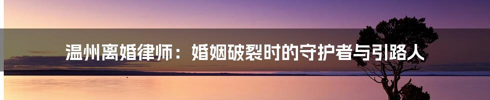 温州离婚律师：婚姻破裂时的守护者与引路人