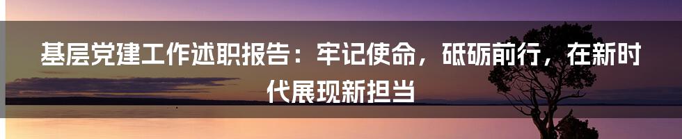 基层党建工作述职报告：牢记使命，砥砺前行，在新时代展现新担当