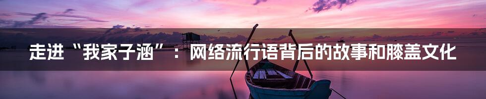 走进“我家子涵”：网络流行语背后的故事和膝盖文化