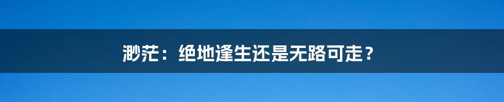 渺茫：绝地逢生还是无路可走？