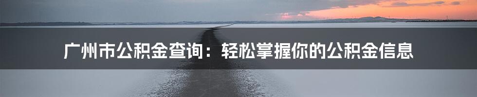 广州市公积金查询：轻松掌握你的公积金信息