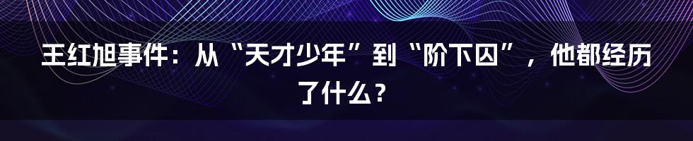 王红旭事件：从“天才少年”到“阶下囚”，他都经历了什么？