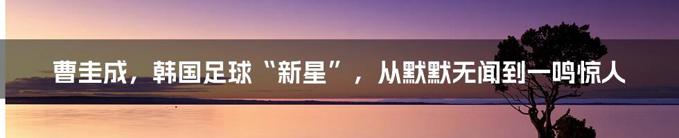 曹圭成，韩国足球“新星”，从默默无闻到一鸣惊人