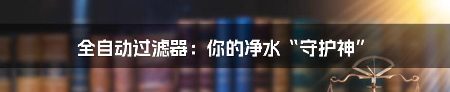 全自动过滤器：你的净水“守护神”