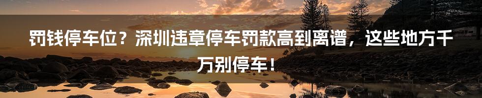 罚钱停车位？深圳违章停车罚款高到离谱，这些地方千万别停车！