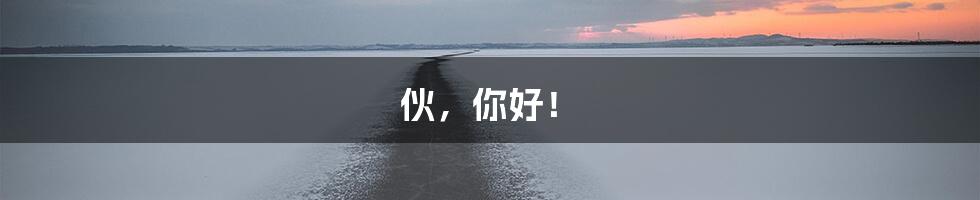 伙，你好！