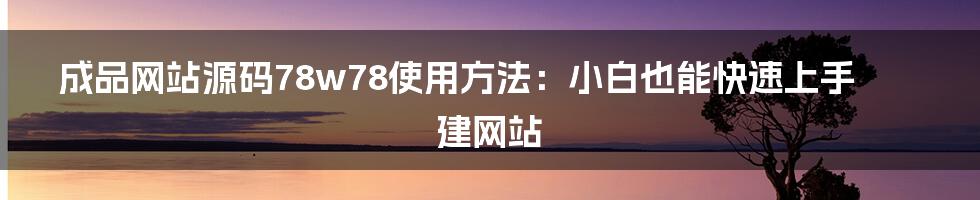 成品网站源码78w78使用方法：小白也能快速上手建网站