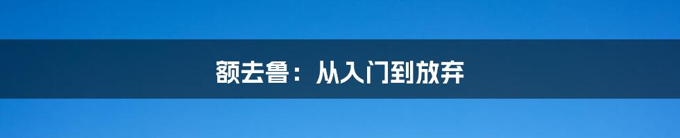 额去鲁：从入门到放弃