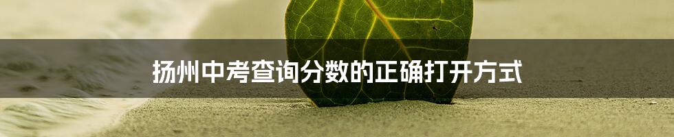 扬州中考查询分数的正确打开方式