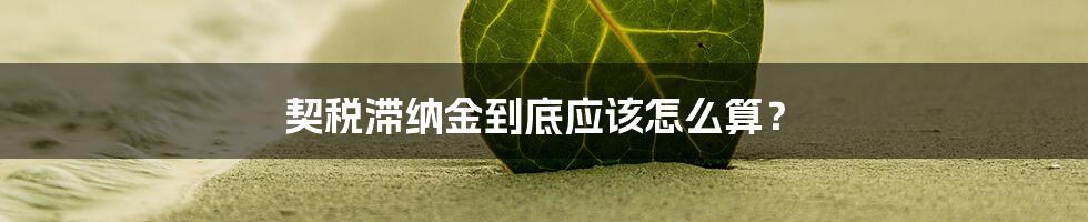 契税滞纳金到底应该怎么算？