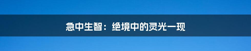 急中生智：绝境中的灵光一现