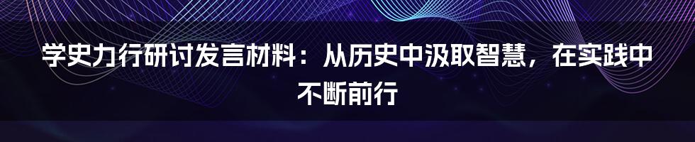 学史力行研讨发言材料：从历史中汲取智慧，在实践中不断前行