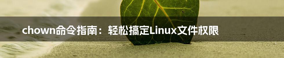 chown命令指南：轻松搞定Linux文件权限